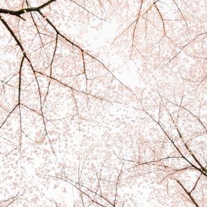 Meet your Posher, Yadi